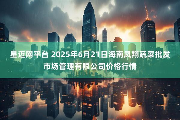 星迈网平台 2025年6月21日海南凤翔蔬菜批发市场管理有限公司价格行情