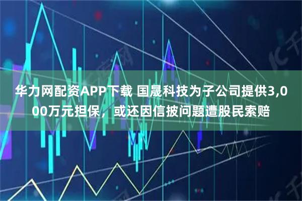 华力网配资APP下载 国晟科技为子公司提供3,000万元担保，或还因信披问题遭股民索赔