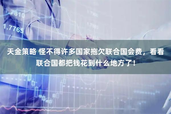 天金策略 怪不得许多国家拖欠联合国会费，看看联合国都把钱花到什么地方了！