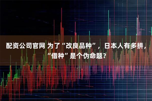 配资公司官网 为了“改良品种”，日本人有多拼，“借种”是个伪命题？