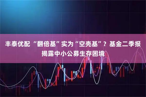 丰泰优配 “翻倍基”实为“空壳基”？基金二季报揭露中小公募生存困境